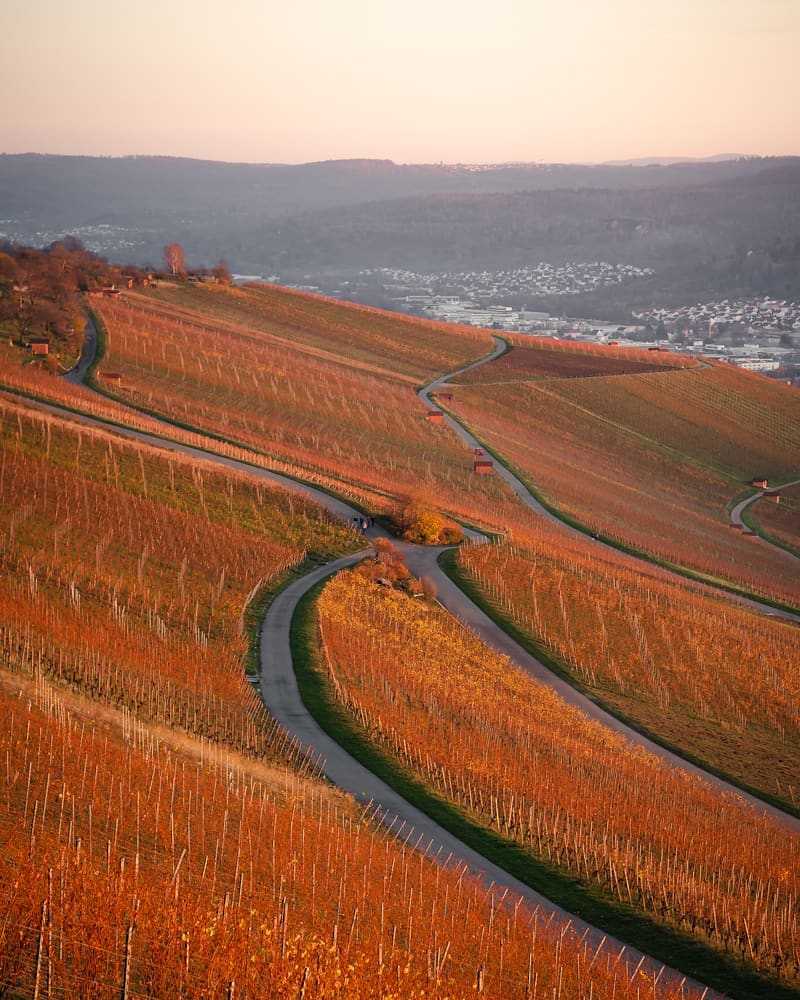 Fields during the autumn